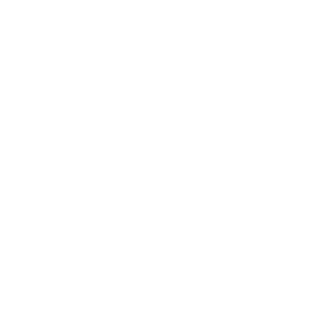 Eagle Team